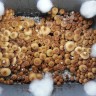 Заказать онлайн отпечатки псилоцибиновых грибов в Казахстане Ecuador
