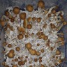 Заказать онлайн отпечатки псилоцибиновых грибов в Казахстане Tapalpa