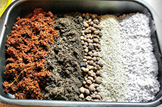 Выбор почвы под выращивание конопли